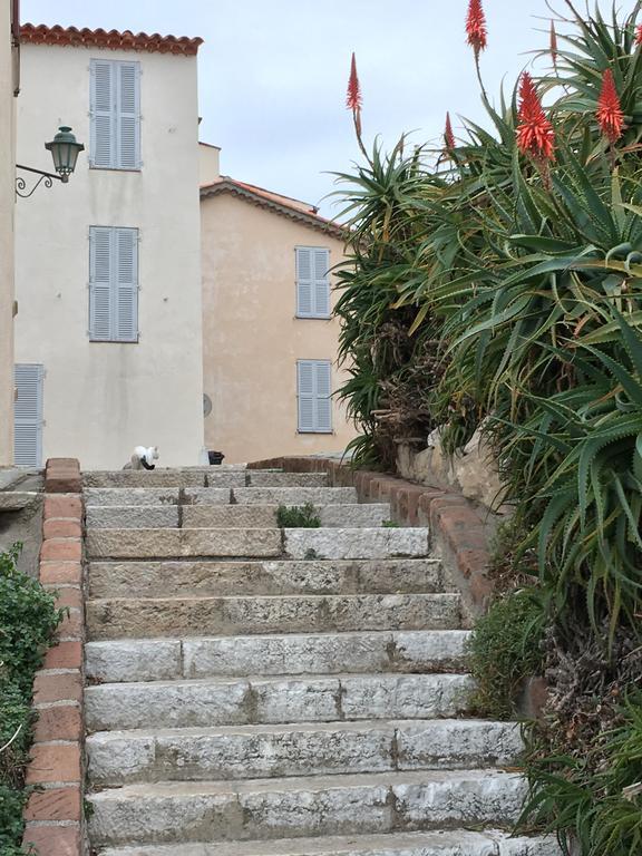 Cap Antibes Les Bosquets Villa Dış mekan fotoğraf